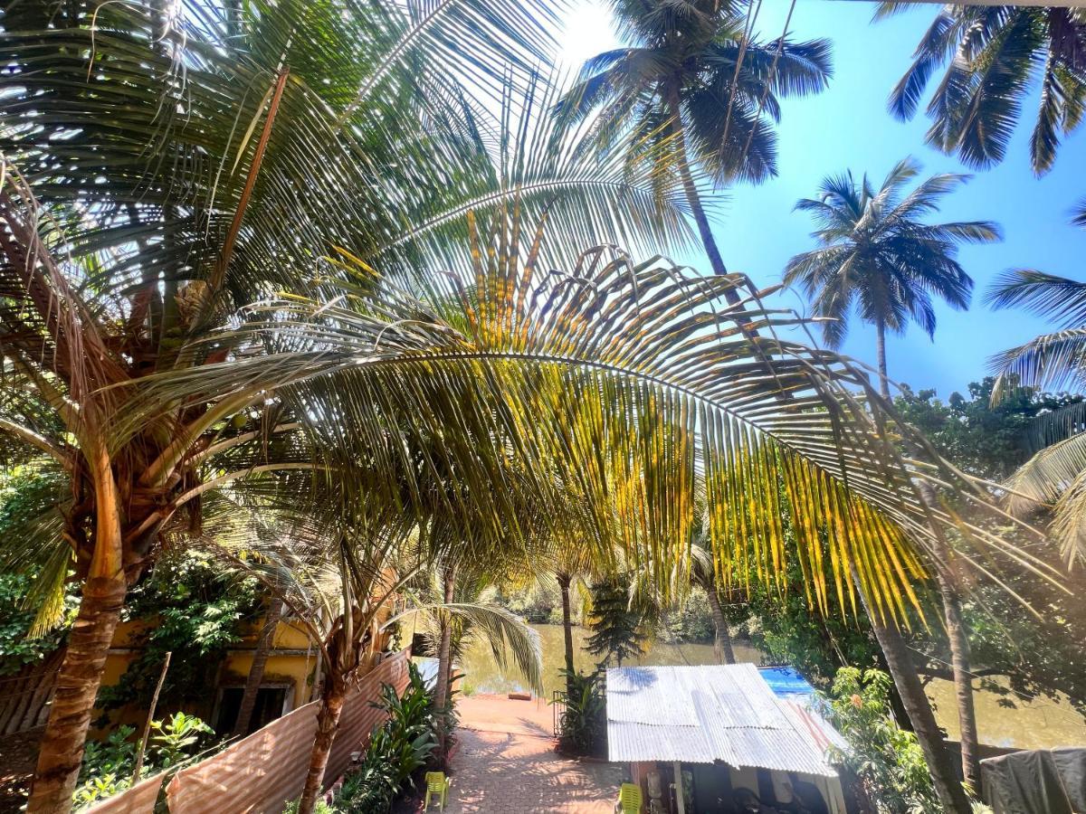 Kyel Villa Guest House Arambol Bagian luar foto