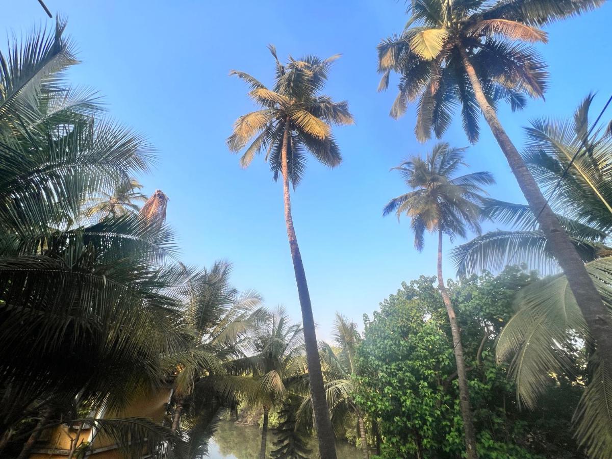 Kyel Villa Guest House Arambol Bagian luar foto